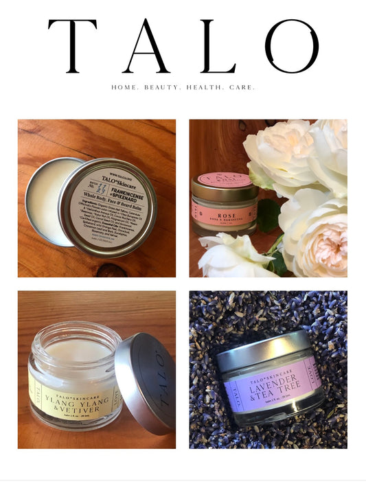 TALO Workshop